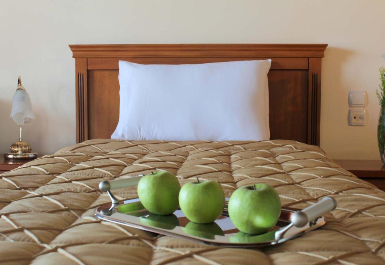 Famissi Eden Hotel Kalampáka Dış mekan fotoğraf