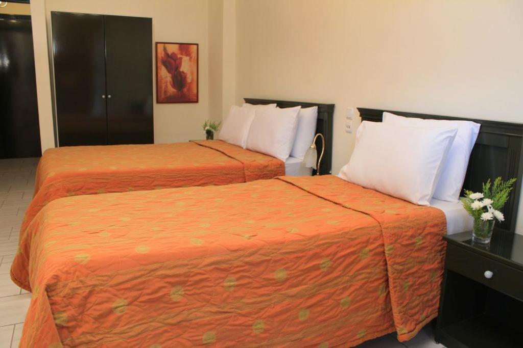 Famissi Eden Hotel Kalampáka Oda fotoğraf